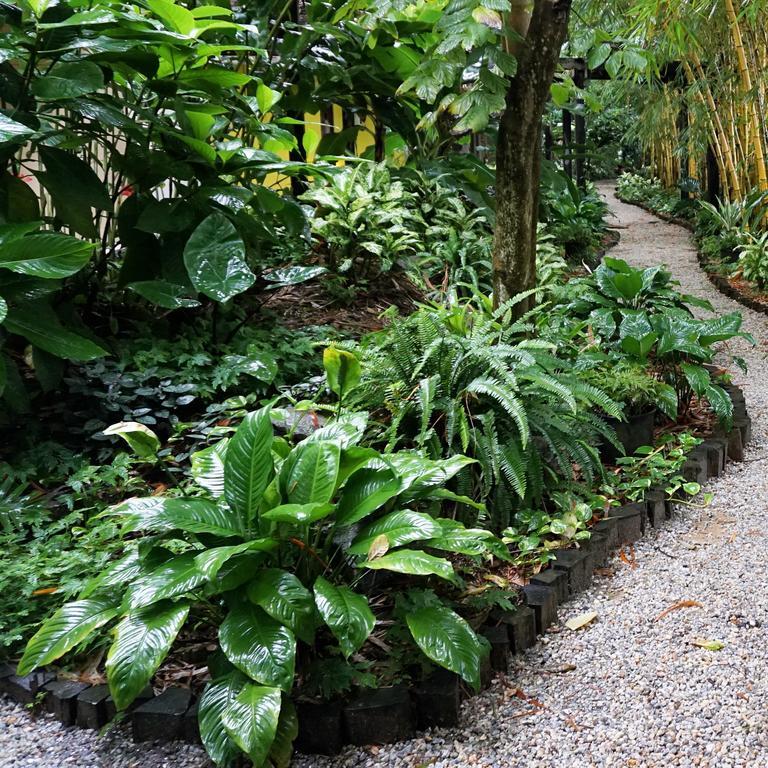 Jacana Amazon Wellness Resort Paramaribo Eksteriør bilde