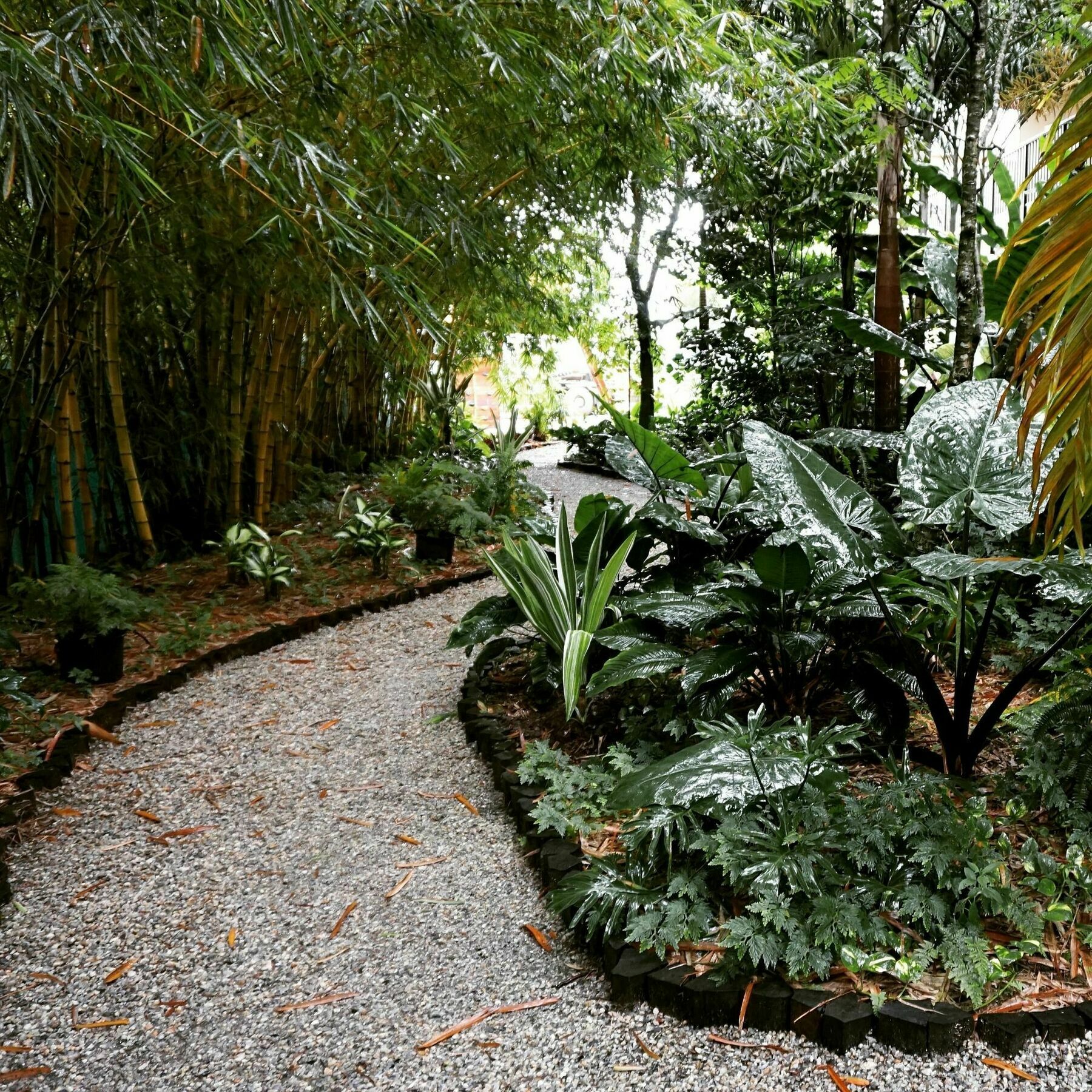 Jacana Amazon Wellness Resort Paramaribo Eksteriør bilde